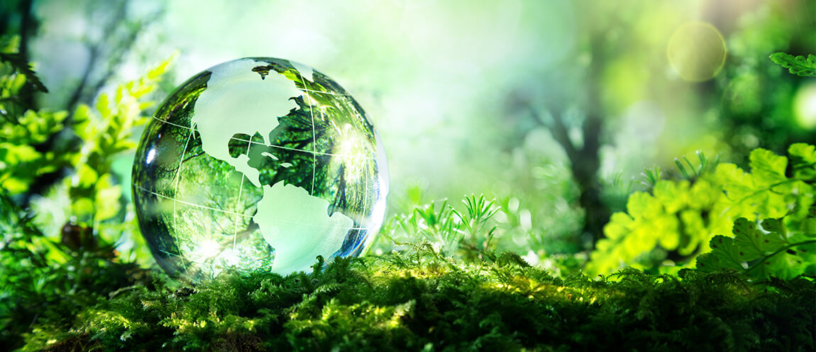 B23_Digital_transformation_sustainability_environmental_business.jpg